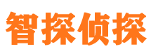 虎林市私家侦探